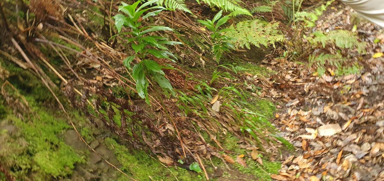 Casa Rural El Puente タガナナ エクステリア 写真