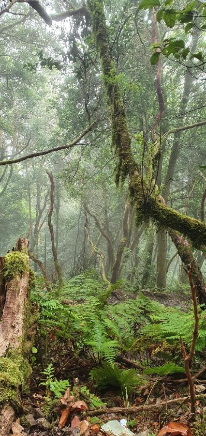 Casa Rural El Puente タガナナ エクステリア 写真